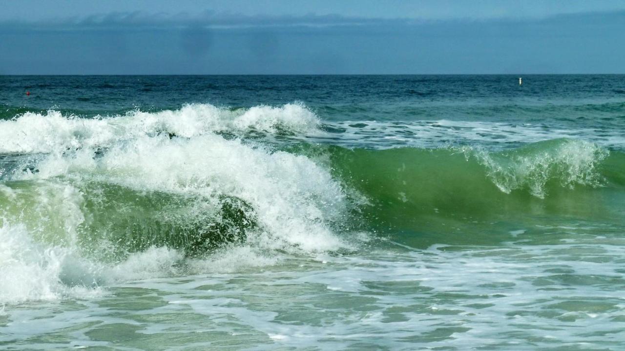 Pelican Pointe 2A شاطئ كليرووتر المظهر الخارجي الصورة