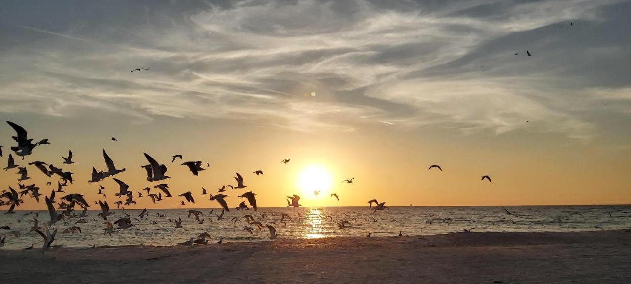 Pelican Pointe 2A شاطئ كليرووتر المظهر الخارجي الصورة